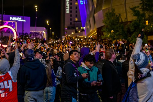 Pourquoi souscrire une assurance animaux pour votre compagnon ?